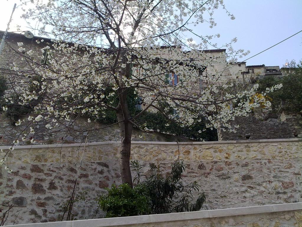 Il Paradiso Nel Borgo Arrone 外观 照片