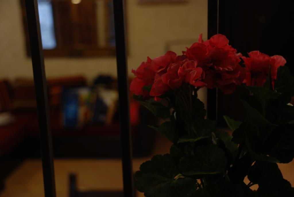 Il Paradiso Nel Borgo Arrone 外观 照片